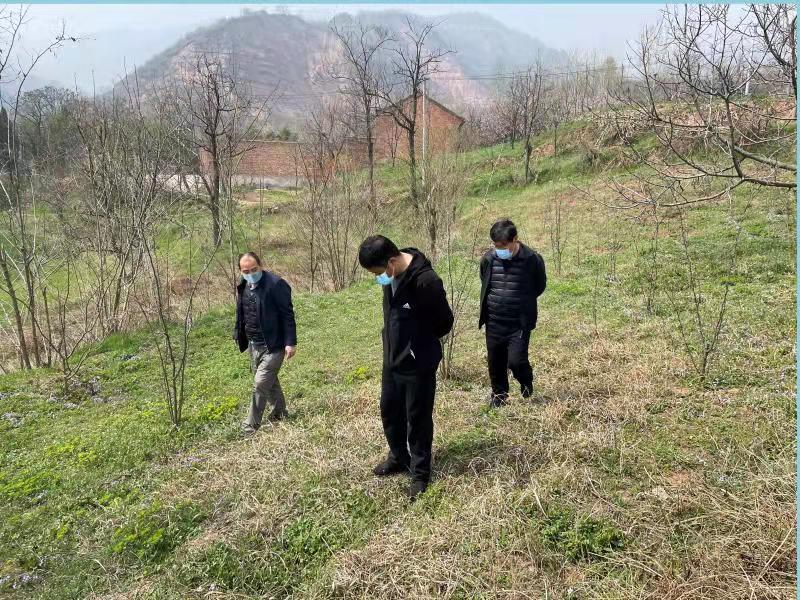 251648193664114478.jpeg 251648193664114478.jpeg