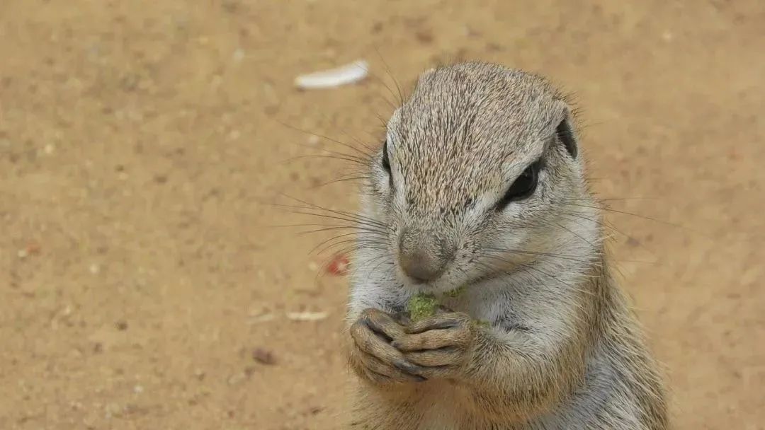 101688972965123411.jpeg 101688972965123411.jpeg