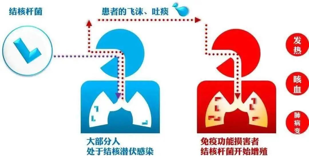 211710986648178871.jpeg 211710986648178871.jpeg