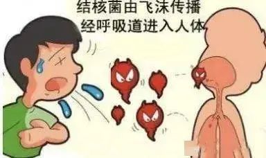 211710986801120844.jpeg 211710986801120844.jpeg